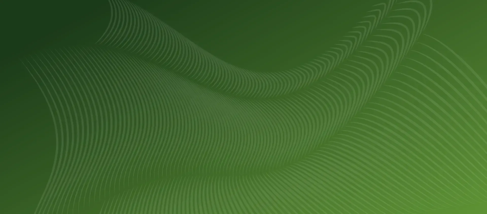 electronica event banner