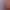 Meet global suppliers banner