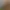 gain market insight and trends banner