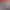 Gain future business insight banner